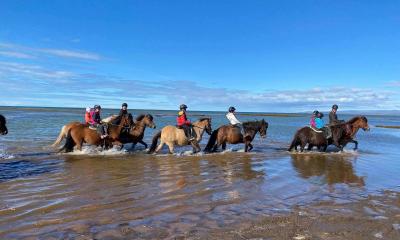 Það verður skemmtilegt reiðnámskeið í gangi á Eyrarbakka í sumar