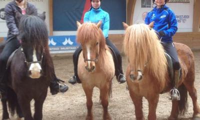 Reiðskóli Sleipnis og Oddnýjar Láru verður í gangi í sumar