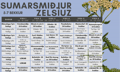 Fjölbreyttar og skemmtilegar smiðjur í sumar hjá Zelsiuz fyrir 5.-7. bekk