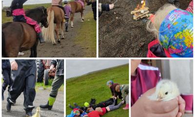 Skemmtileg sveitanámskeið á Baugsstöðum