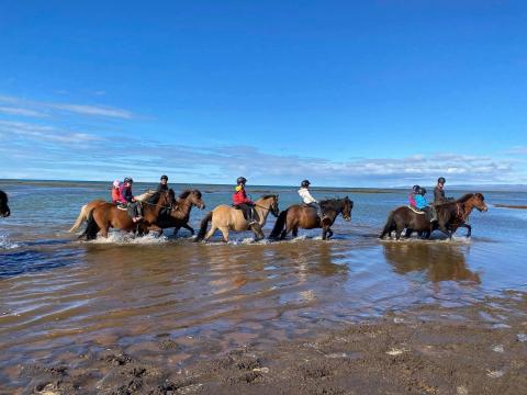 Það verður skemmtilegt reiðnámskeið í gangi á Eyrarbakka í sumar