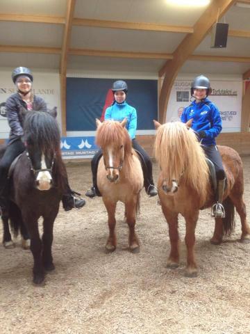 Reiðskóli Sleipnis og Oddnýjar Láru verður í gangi í sumar