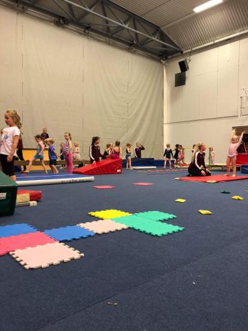 Fimleikanámskeið verður í gangi í Baulu í sumar