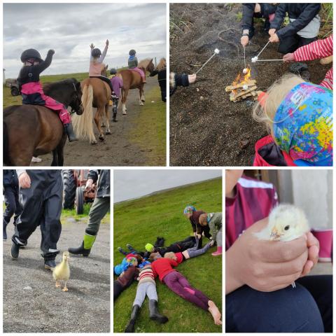 Skemmtileg sveitanámskeið á Baugsstöðum